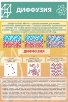 Стенд "Диффузия" - «globural.ru» - Волгодонск