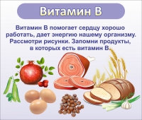 Стенд "Витамин В" - «globural.ru» - Волгодонск