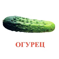 Карточки Домана "Овощи-Зелень-1" - «globural.ru» - Волгодонск