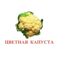Карточки Домана "Овощи-Зелень-2" - «globural.ru» - Волгодонск
