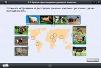 Интерактивные курсы. Биология 7 класс. Расширенный - «globural.ru» - Волгодонск