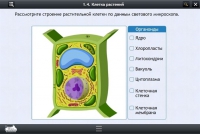 Интерактивные курсы. Биология 9 класс. Расширенный - «globural.ru» - Волгодонск