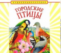 CD "Аудиоэнциклопедия. Городские птицы" - «globural.ru» - Волгодонск