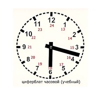 Часовой циферблат раздаточный - «globural.ru» - Волгодонск