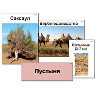 Модель-аппликация "Природные зоны России" - «globural.ru» - Волгодонск