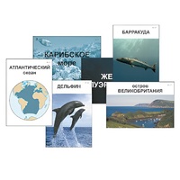 Модель-аппликация "Океаны. Знакомство" (ламинированная) - «globural.ru» - Волгодонск