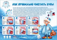 Стенд "Как правильно чистить зубы" - «globural.ru» - Волгодонск