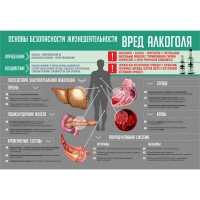 Стенд "Алкоголь" - «globural.ru» - Волгодонск