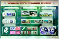 Электрифицированный стенд "Уровни организации жизни" - «globural.ru» - Волгодонск
