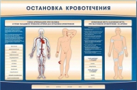 Электрифицированный стенд-тренажер "Остановка кровотечения" - «globural.ru» - Волгодонск