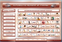 Трехсекционный базовый комплект "Травмы. Кровотечения. Ожоги" для учащихся общеобразовательных учреждений - «globural.ru» - Волгодонск