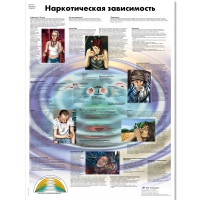 Плакат "Наркотическая зависимость", ламинированный, 50*67 см - «globural.ru» - Волгодонск