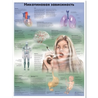 Плакат "Никотиновая зависимость", ламинированный, 50*67 см - «globural.ru» - Волгодонск