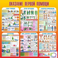 Стенд "Оказание первой помощи" - «globural.ru» - Волгодонск