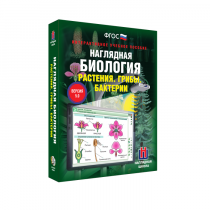 Наглядная биология. Растения. Грибы. Бактерии - «globural.ru» - Волгодонск