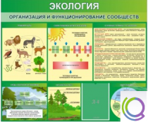 Стенд "Экология. Организация и функционирование сообществ" - «globural.ru» - Волгодонск