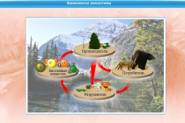 Интерактивные курсы. Биология 7 класс. Базовый - «globural.ru» - Волгодонск