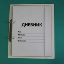 Дневник школьника (с полным набором карточек) - «globural.ru» - Волгодонск