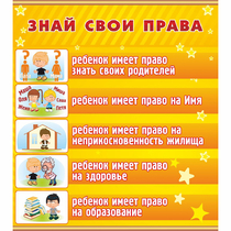 Стенд "Знай свои права" - «globural.ru» - Волгодонск