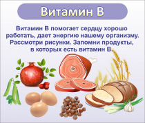 Стенд "Витамин В" - «globural.ru» - Волгодонск