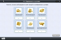 Интерактивные курсы. Биология 8 класс. Расширенный - «globural.ru» - Волгодонск