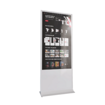 Интерактивный сенсорный киоск Nova 55" - «globural.ru» - Волгодонск