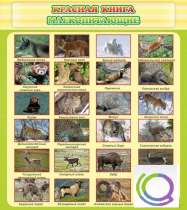 Стенд "Красная книга - млекопитающие" - «globural.ru» - Волгодонск