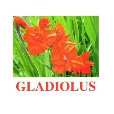 "Flowers-1" ("Цветы-1") английские карточки Домана - «globural.ru» - Волгодонск