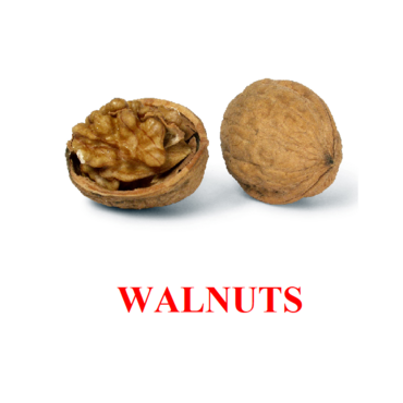 "Berries-Nuts-2" ("Ягоды-Орехи-2") английские карточки Домана - «globural.ru» - Волгодонск