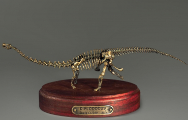 Модель скелета динозавра Diplodocus (вариант 1) - «globural.ru» - Волгодонск