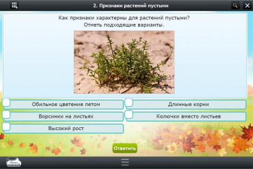 Интерактивные курсы. Окружающий мир 3 класс. Базовый - «globural.ru» - Волгодонск