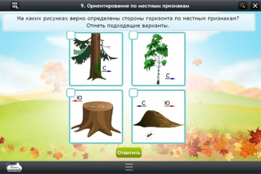Интерактивные курсы. Окружающий мир 1 класс. Базовый - «globural.ru» - Волгодонск