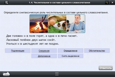 Интерактивные курсы. Русский язык 6 класс. Базовый - «globural.ru» - Волгодонск
