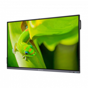 Интерактивный программно-аппаратный комплекс Geckotouch Interactive IP86GT-С  в комплекте с настенным креплением - «globural.ru» - Волгодонск