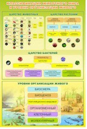 Стенд "Классификация животного мира" - «globural.ru» - Волгодонск
